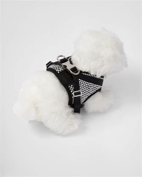 prada pet harness